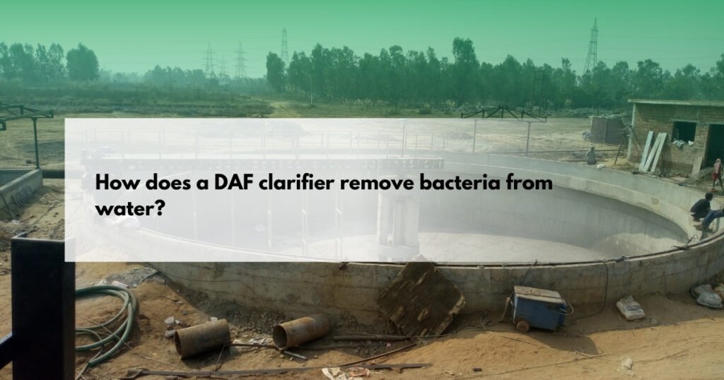 How does a DAF clarifier remove bacteria from water?